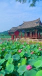 21에 있는 Mily Hearts님의 핀 - 2021 | 연못