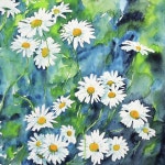 Pin page Daisies Paintings | 풍경 수채화, 수채화