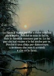 frasi의 최고 인기 이미지 94개 | 가사, 간디 및 감정 frasi