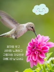 아름다운 날 되세요. 아름다운 날 되세요. | 좋은 아침 인사, 격려, 영감을 주는 인용구