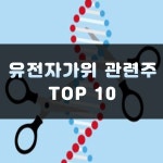 유전자가위 관련주 정리 TOP10 | 대장주, 테마주 | 주식스토커