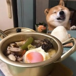 멍식당에 있는 full moon님의 핀