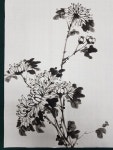 국화 (Chrysanthemum, 菊花, きくのはな, 사군자, 문인화, 동양화, Oriental Painting)