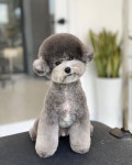 SHU AND TREE | 슈앤트리 on Instagram... 너의 모량은 최고👍🏻 ⠀⠀⠀⠀⠀⠀⠀⠀⠀⠀⠀⠀⠀⠀⠀⠀ #솔트 #귀툭튀 #슈앤트리” | 동물