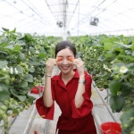 봄봄딸기농장에 있는 희영 윤님의 핀 | 아침 인사, 딸기