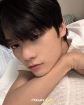 Petch (펫)