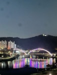 울산_태화강