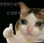 웃긴 밈 #2