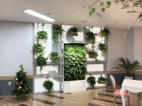 수직정원 나아바 플랜테리어 Vertical Garden NAAVA Planterior