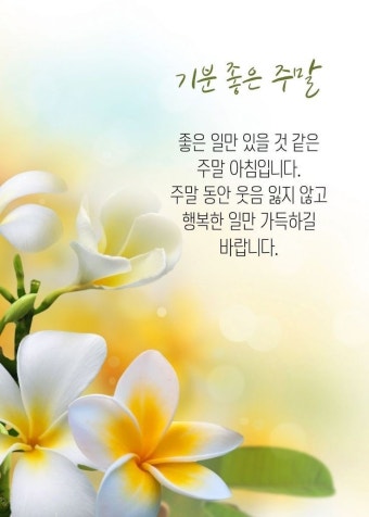기분 좋은 주말 아침.