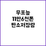 우포늪 탄소 저장량 11만 6천 톤 발견! | 대구진 서울진에 있는 핀