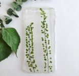 Fern&Felt -Pressed flower phone cases에 있는 희 송님의 핀 | 압화