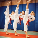 Pin by Erica Hartman on 태권도 (Taekwondo) | Karate martial arts, Taekwondo, Martial arts girl Pin by Erica Hartman on 태권도... 