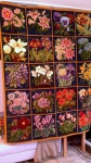 Needlework에 관한 14개의 최상의 Pinterest 이미지 | 바느질, 자수 및 자수 뜨개질 Needlework