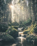 // nature \\에 관한 1746개의 최상의 Pinterest 이미지 | 아름다운 장소, 여행지 및 Flower boys // nature \\