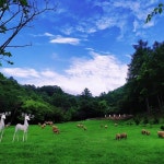 #휘바핀란드 #휘바핀란드펜션 #홍천양떼목장 #힐링 #커플 #일상 #럽스타그램 #오션월드 #컾스타그램 #커플스냅 #셀프스냅 #커플여행... 