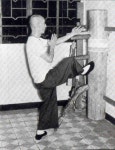 詠春拳 ( 葉門 宗師 )에 있는 梁承鎬님의 핀 | 무술, 운동