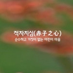 살림의여왕님의 스토리 | 풍수, 육아, 레시피