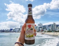 Beer에 있는 핀