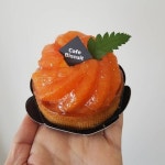 카페 비스퀴 | Café Biscuit (@_cafebiscuit) • Instagram photos and videos - 2021 | 카페