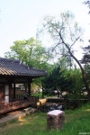 그림자도 쉬어가는 곳, 식영정 http://m.blog.naver.com/tkghl22/50190284788