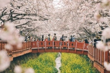 City by the Bay 창원 – SEOUL Magazine City by the Bay 창원 | SEOUL Magazine