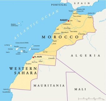 La palma Imágenes Vectoriales, Gráfico Vectorial de La palma | Depositphotos | Reino de marruecos, Historia de españa, Marruecos