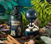 펫다움로얄브러쉬 펫다움로얄브러쉬 | Perfume bottles, Shampoo and conditioner, Perfume