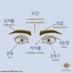 Pin de Arettha Queiroz en Aprendendo Coreano *-* Hangeul 한글... Coreano *-*Hangeul 한글 | Palabras coreanas, Aprender coreano... 