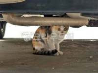 크라우드픽에 있는 핀