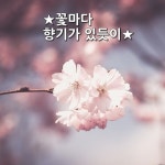 ★꽃마다 향기가 있듯이★ 꽃마다 향기가 있듯 사람도 향기가 있지.. 어떤이는 낙엽타는 냄새가 나고 어떤이는 누룽지의 구수함이 배여 있고... 