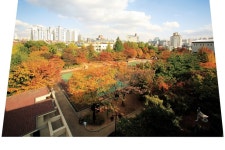 신길4동에 위치한 신길공원의 가을 | 가을