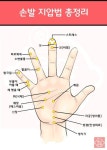손발 지압 부위 총정리 | 지압, 건강, 건강 운동