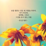 좋은 글에 있는 달팽이님의 핀 - 2020 | 최고의 명언, 인생 인용구, 명언