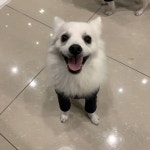 지혜를 쭈비전용사진기사로 임명합니다. 내가찍는거랑 왜때문에 다른느낌이지 같은 포즈 같은 표정인디 내 똥손이 문젠가.......