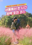 야놀자 : 대한민국 대표 종합 숙박어플 | 여행, 관광, 여행 가이드