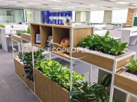 ECO PEOPLE 에코피플 : 그린테리어 토탈 케어 솔루션 ECO PEOPLE 에코피플 : 그린테리어 토탈 케어 솔루션 | Green office, Plants, Garden
