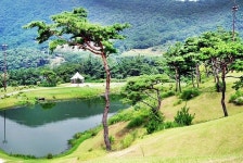춘천 스프링베일cc, 후기