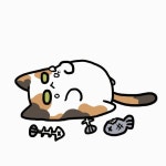 그림이 좋은 분당애니툰 만화학원 분당본원 : 031-711-1201 카카오톡... 취미 #미술학원 #게임그래픽 #입시만… | 이모티콘, 고양이, 그래픽