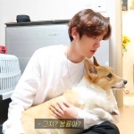 BAEKHYUN yt vlog | EXO | 백현 | 엑소 | 보보후 | bobohu... dumbo | #baekhyun #byun #byunbaekhyun #exo #백현 #변백현 BOBOHU04