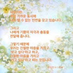 경희에 있는 Kyonghui Chon- Marella님의 핀