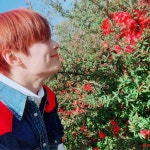 따뜻한 봄날에 화보 찍어서 좋았던 퍼스트룩 화보~ #StrayKids#STAY#IN스타그램#🌸🦊🌸 | Selebritas, Mixtape, Suami