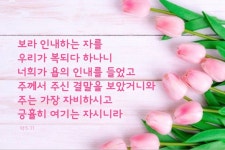 보라 인내하는 자를… #성경 #성경구절