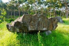 고창·화순·강화 고인돌 유적[Gochang, Hwasun, and Ganghwa Dolmen Sites]