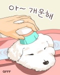 SNS컨텐츠_아르르