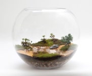 •플랜테리어 Terrarium 으로 나만의 아늑한 실내정원 만들기! : 네이버 블로그 | Terrarium, Terrarium plants, Succulent terrarium