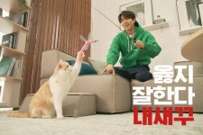 ถูกใจ 473 คน, ความคิดเห็น 15 รายการ - 그르릉 컴퍼니의 가구 디자이너😺 (@grrrng_company)... 