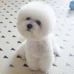 정수기이모가 와서 아유~ 왜이리이뽀😍 아유 정말~~ 아유 정말~~ 만 열번하고 가셨어요😎😎 #아줌마도반한미모... 