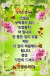 손글씨 문구에 있는 Kyonghui Chon- Marella님의 핀 | 좋은 아침 인사, 손글씨 문구, 손글씨
