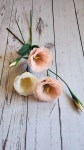 Pin by 박선희 on 내 저장 in 2025 | Paper flowers, Crepe paper flowers diy, Flower boxes